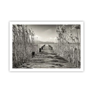 Plakat - W zaciszu traw - 91x61 cm