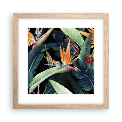 Plakat w ramie jasny dąb - Płomienne kwiaty tropików - 30x30 cm