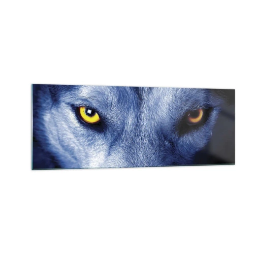 Obraz na szkle - Intensywne spojrzenie wilka w zbliżeniu na ciemnym tle - 140x50cm - Hipnotyzujące spojrzenie - Nowoczesna dekoracja ścienna do salonu i sypialni ARTTOR