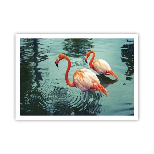 Plakat - Dwa flamingi w spokojnej wodzie odbijające otoczenie - 100x70cm - Jesteśmy teraz w modzie - Nowoczesna dekoracja ścienna do salonu i sypialni ARTTOR