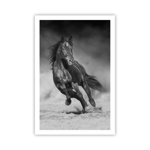 Plakat - Godny samego emira - 61x91 cm