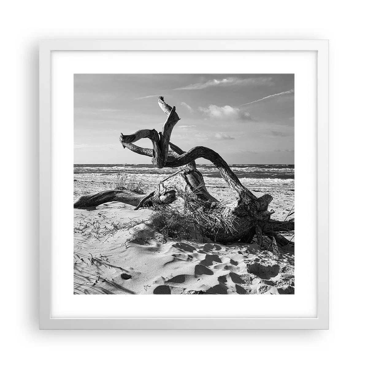 Plakat w białej ramie - Morska rzeźba - 40x40 cm