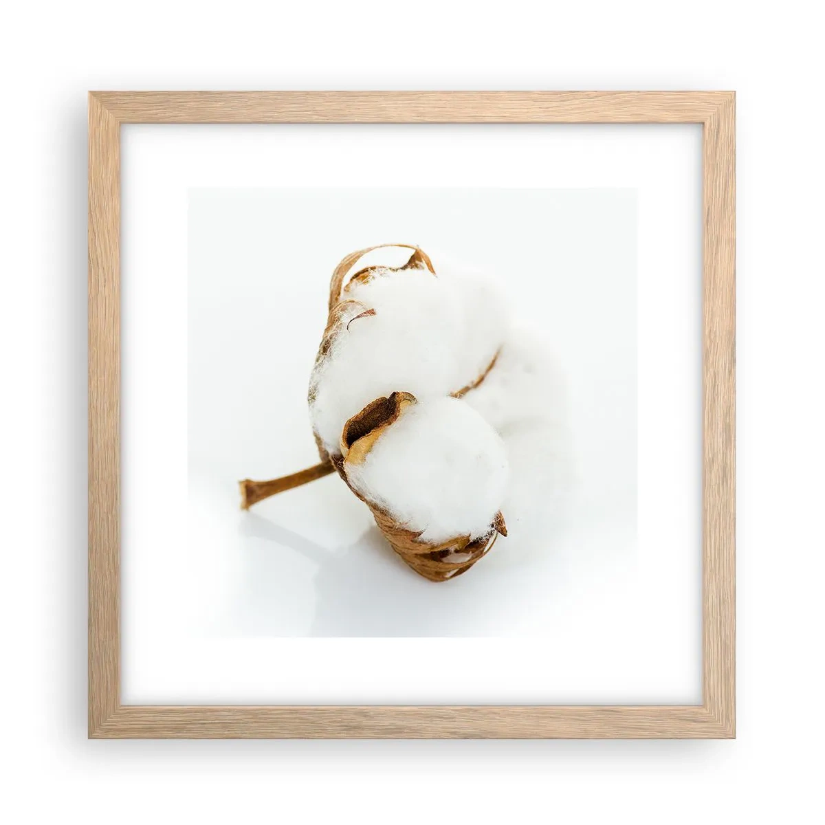 Plakat w ramie jasny dąb - Miękka z natury - 30x30 cm