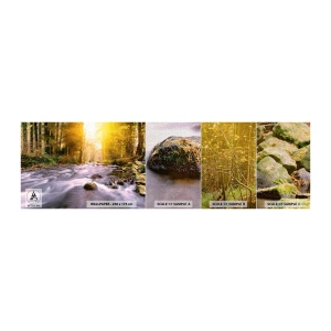 Fototapeta Próbka Premium Canvas - Malachit w srebrno-złotej oprawie - Krajobraz, Górski Strumień, Las - 100x30 cm