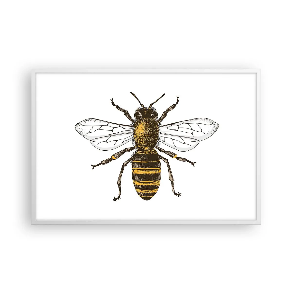 Plakat w białej ramie - Piękna i dobra - 91x61 cm