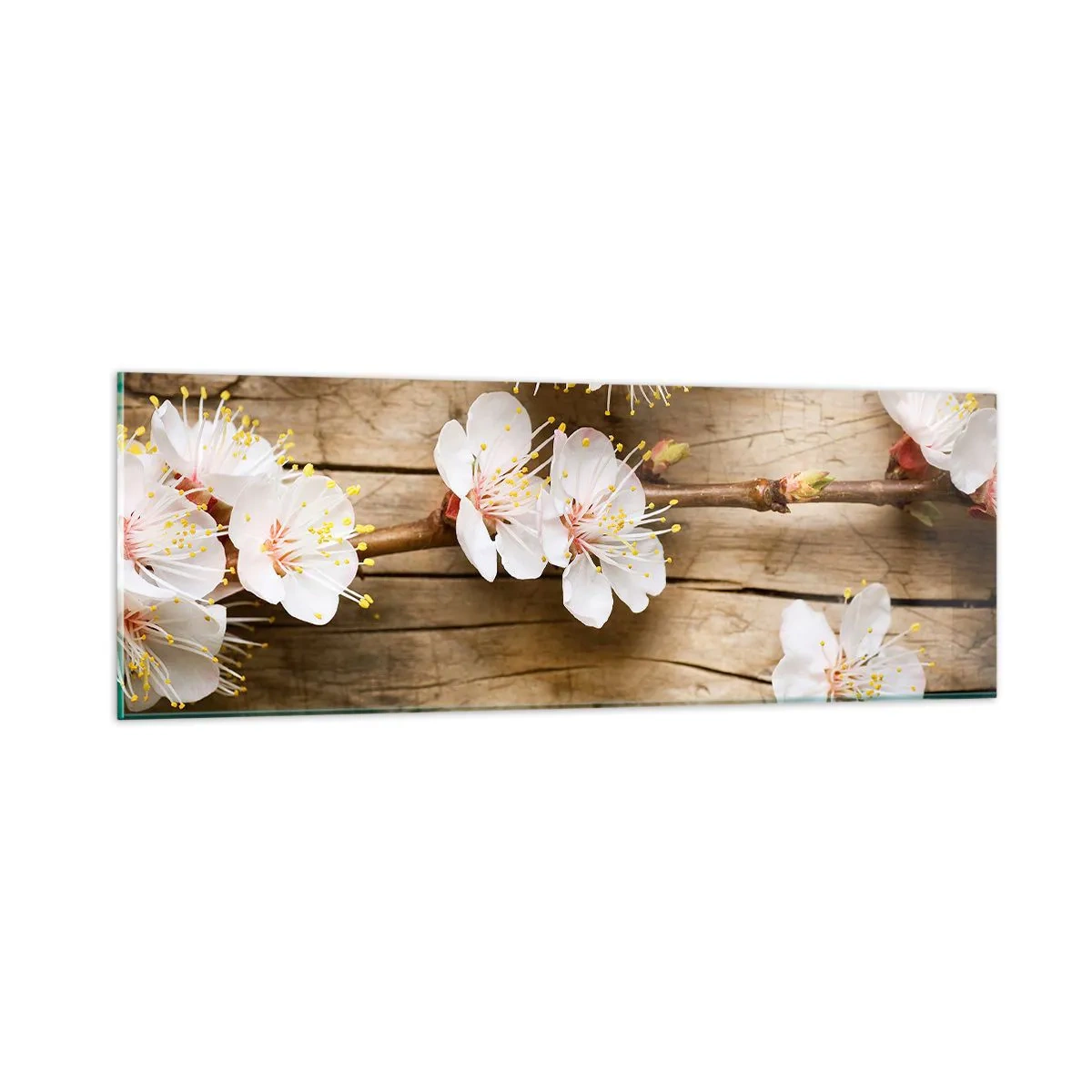 Obraz na szkle - I stała się wiosna - 90x30 cm