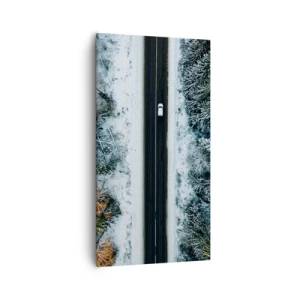 Obraz na płótnie - Przeciąć zimowy las - 55x100 cm