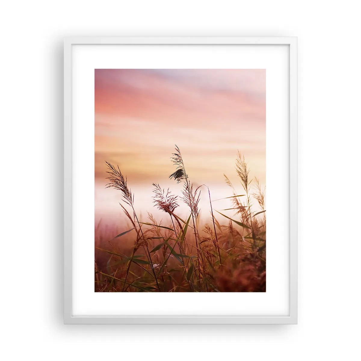 Plakat w białej ramie - Latawce, dmuchawce, wiatr - 40x50 cm
