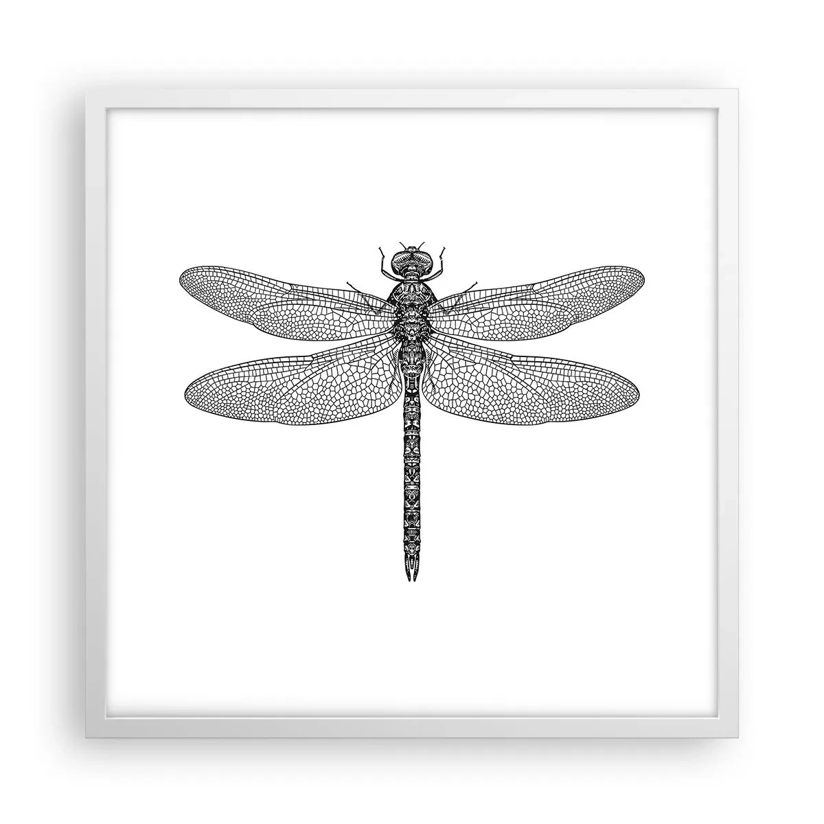Plakat w białej ramie - Precyzja natury - 50x50 cm