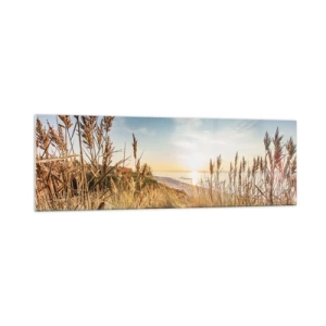 Obraz na szkle - Malownicza plaża z trawami i zachodzącym słońcem - 160x50cm - Północna plaża - Nowoczesna dekoracja ścienna do salonu i sypialni ARTTOR