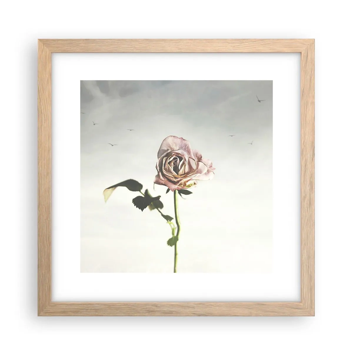 Plakat w ramie jasny dąb - Powitanie wiosny - 30x30 cm