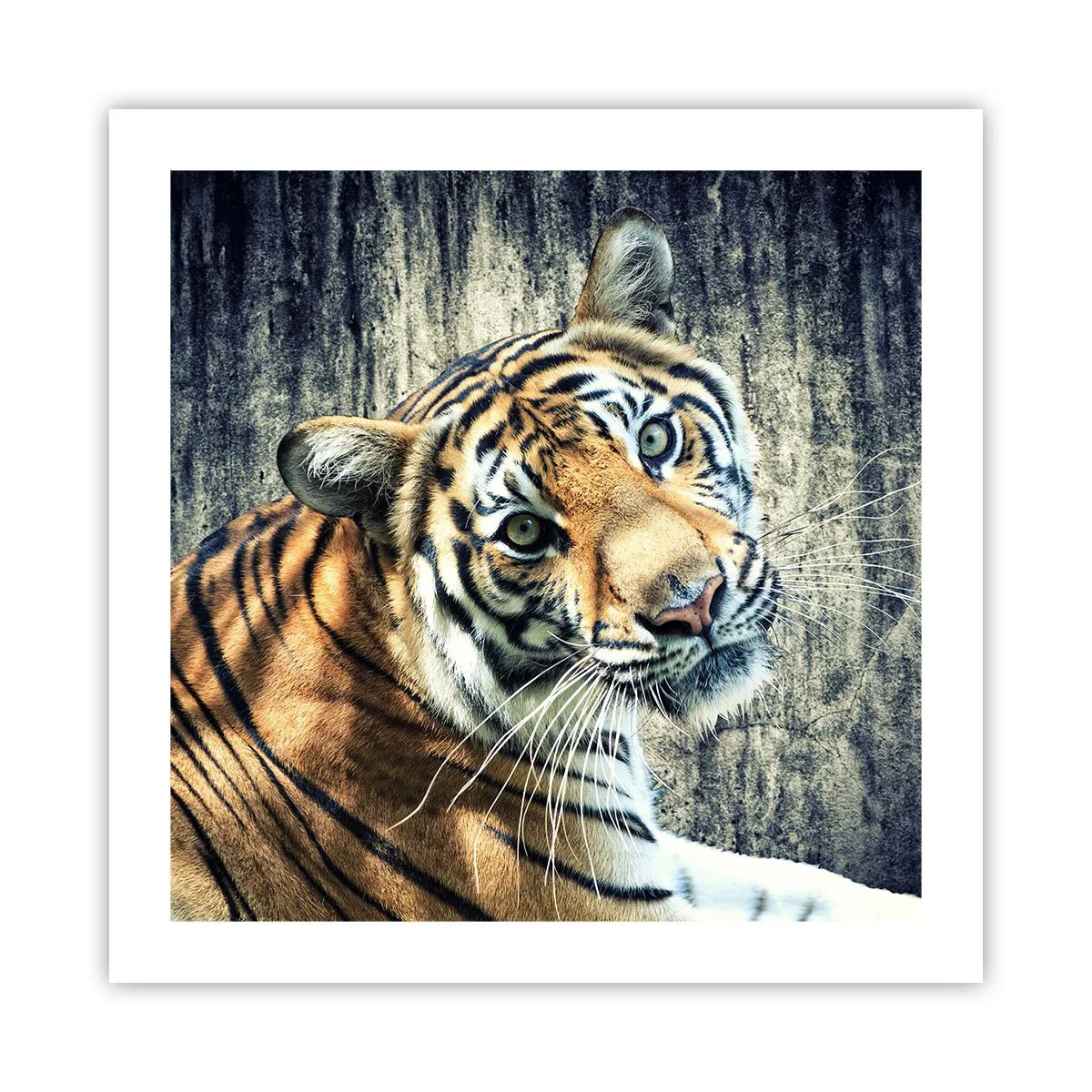 Plakat - Portret w strugach światła - 50x50 cm