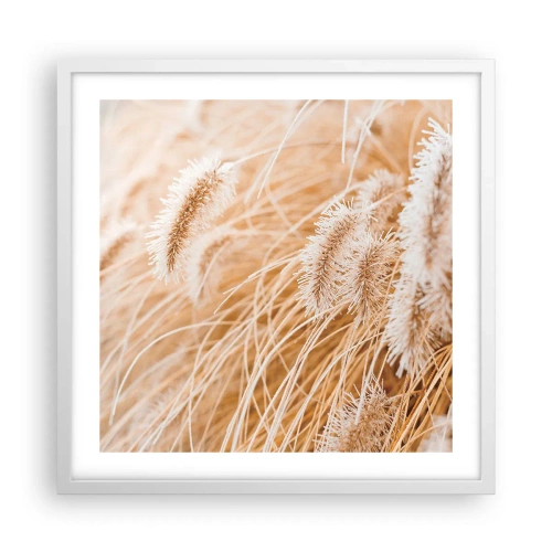 Plakat w białej ramie - Złoty szelest traw - 50x50 cm