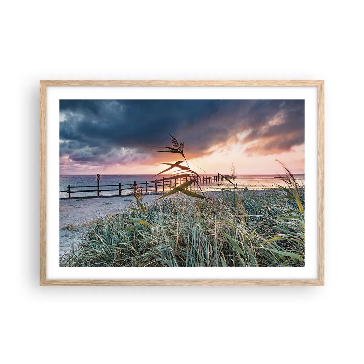 Plakat w ramie jasny dąb - Nie przemija z wiatrem - 70x50 cm