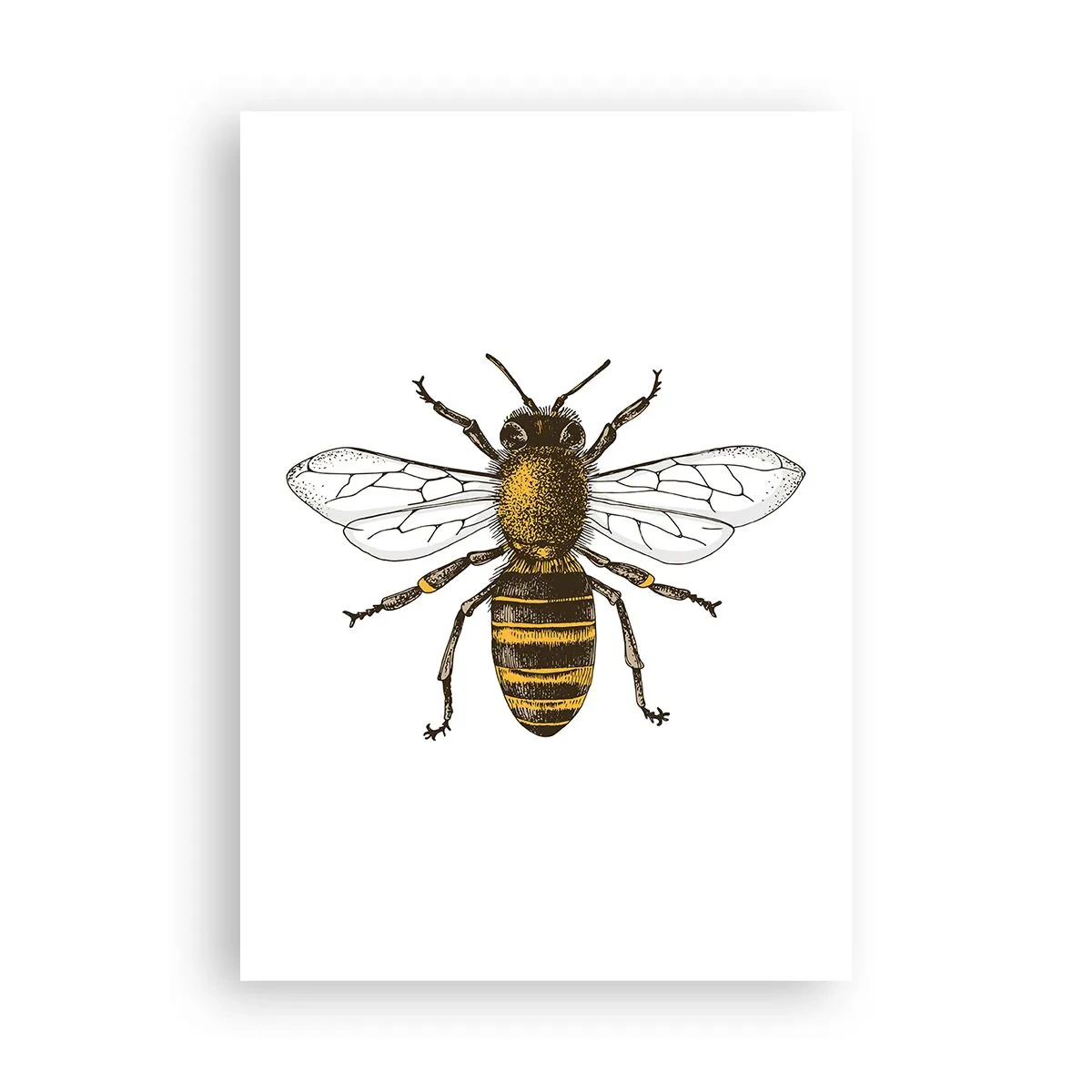 Plakat - Piękna i dobra - 70x100 cm