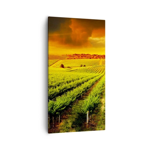 Obraz na płótnie - Pod australijskim słońcem - 55x100 cm
