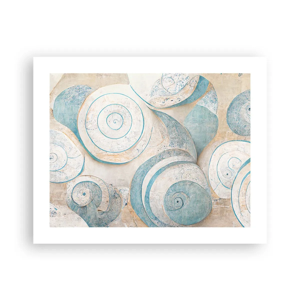 Plakat - Co kryje muszla? - 50x40 cm