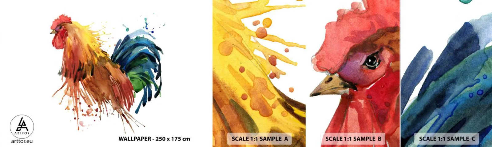 Fototapeta Próbka Samoprzylepna Deluxe Sticker - Królewska szata, królewska duma - Kogut, Grafika, Hodowla - 100x30 cm