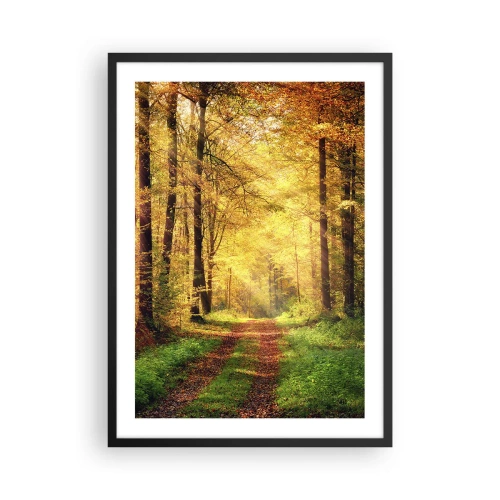 Plakat w czarnej ramie - Leśna ścieżka w świetle złotego jesiennego słońca - 50x70cm - Leśno-złota cisza - Nowoczesna dekoracja ścienna do salonu i sypialni ARTTOR
