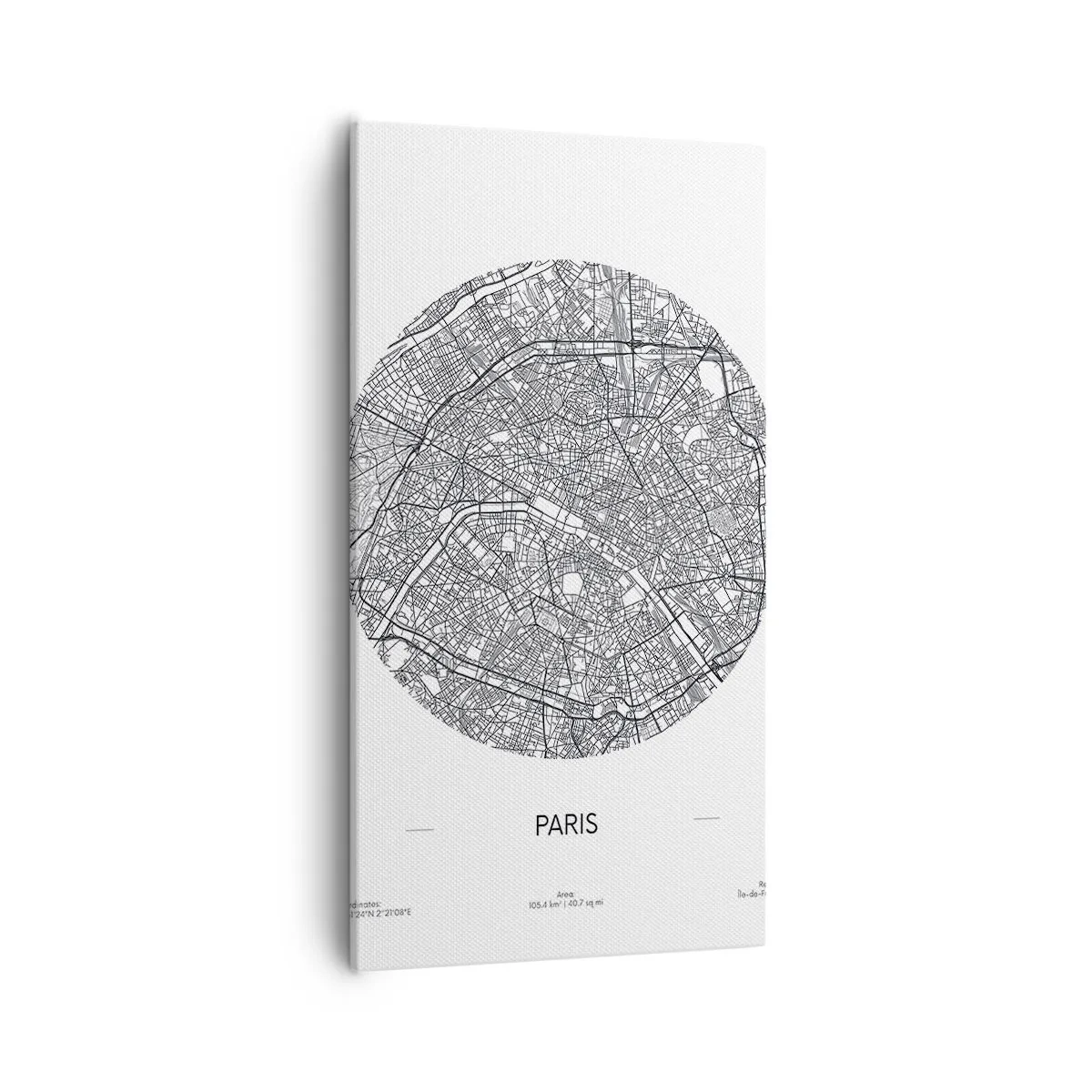 Obraz na płótnie - Anatomia Paryża - 55x100 cm