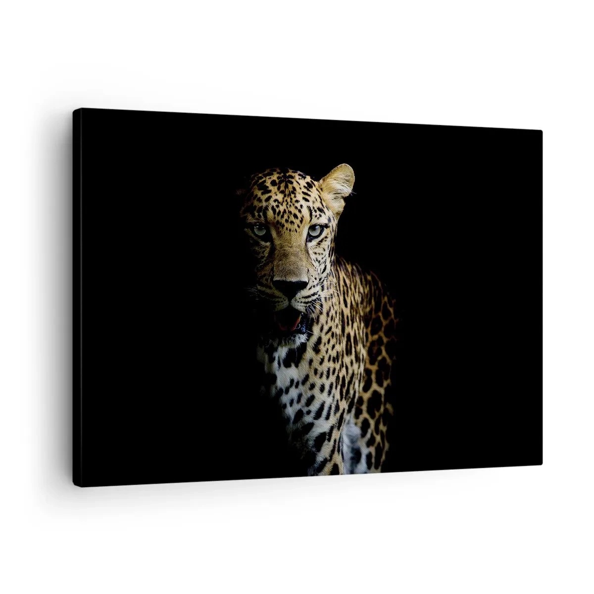 Obraz na płótnie - Leopard na ciemnym tle z intensywnym spojrzeniem - 70x50cm - Mroczne piękno - Nowoczesna dekoracja ścienna do salonu i sypialni ARTTOR