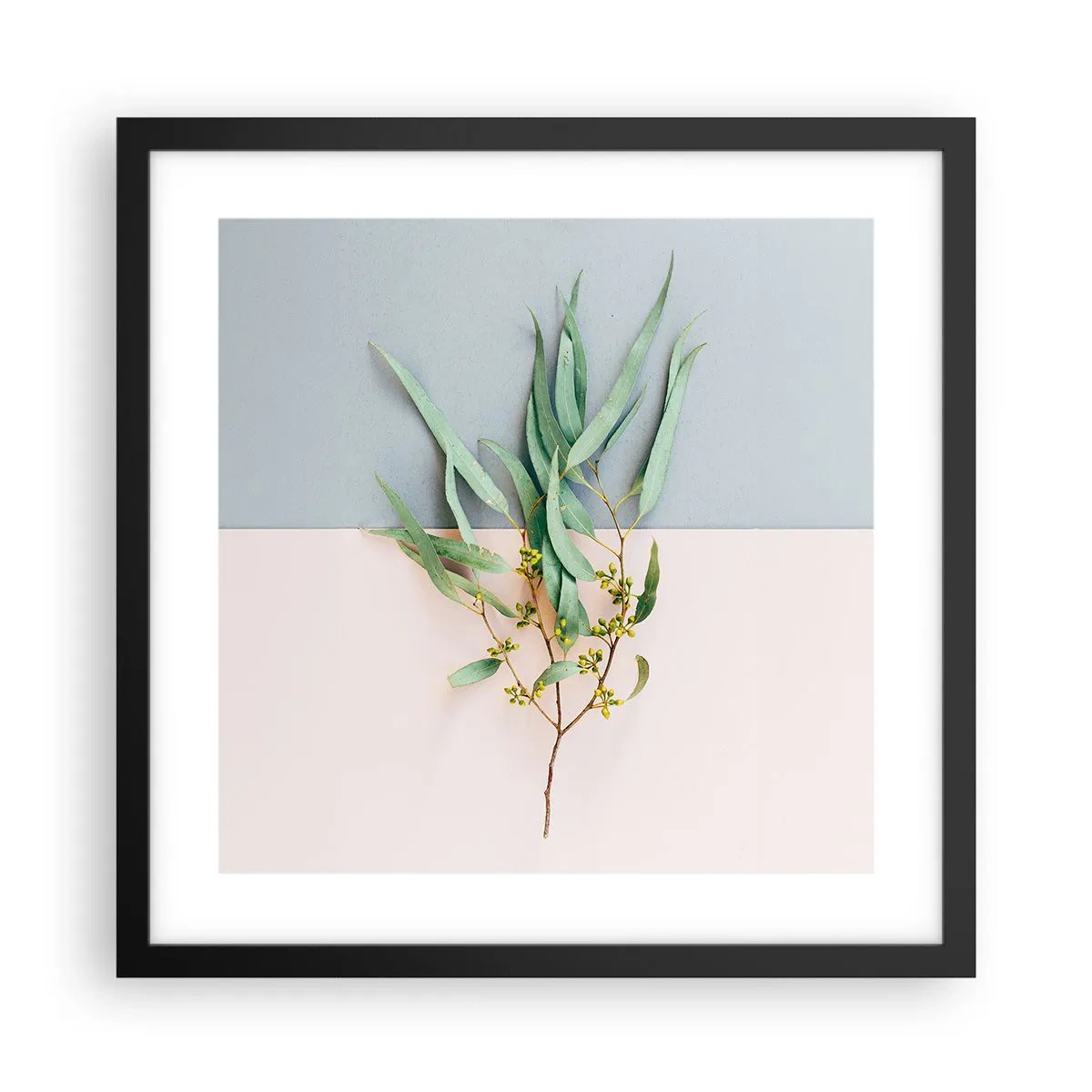 Plakat w czarnej ramie - Pastelowa subtelność - 40x40 cm