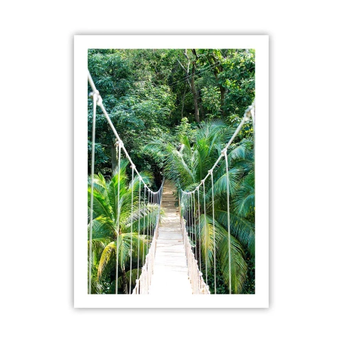 Plakat - Wiszący most w tropikalnym lesie deszczowym - 50x70cm - Welcome to the jungle! - Nowoczesna dekoracja ścienna do salonu, kuchni i sypialni ARTTOR