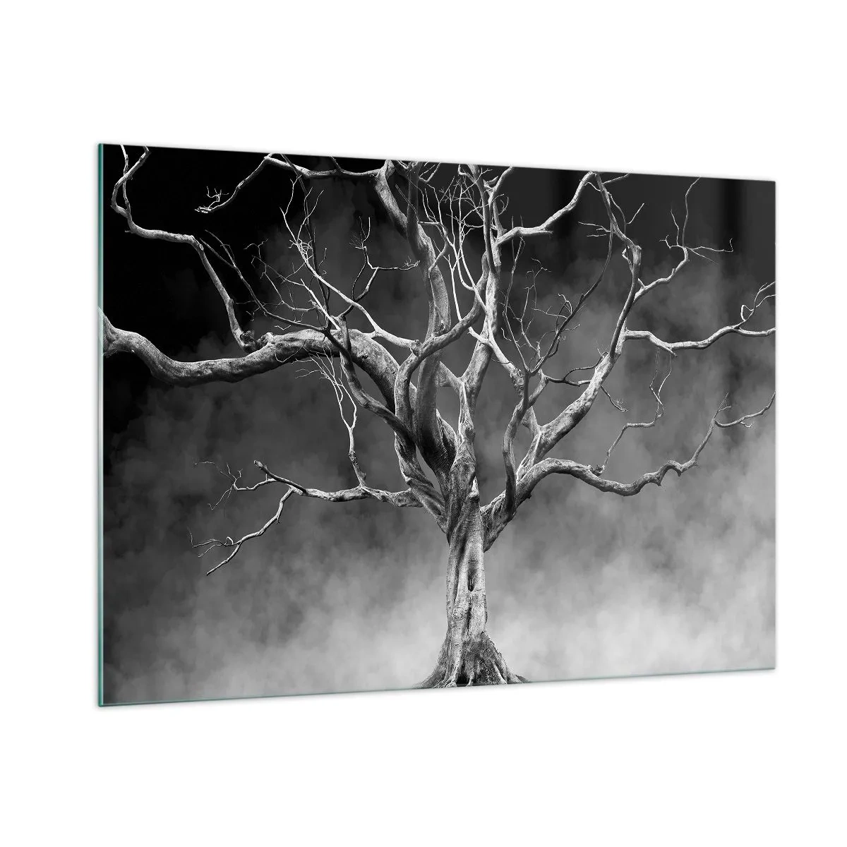 Obraz na szkle - Czarne drzewo na tle mgły - 100x70cm - Pierwotne i święte - Nowoczesna dekoracja ścienna do salonu, kuchni i sypialni ARTTOR