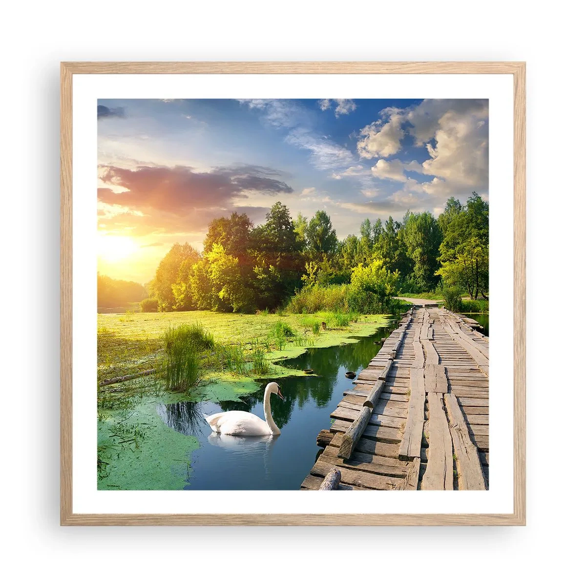 Plakat w ramie jasny dąb - Lato, lato wszędzie - 60x60 cm