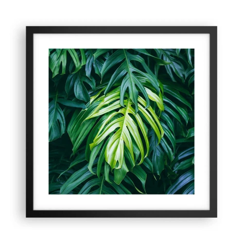 Plakat w czarnej ramie - Zanurzyć się w świeżości - 40x40 cm