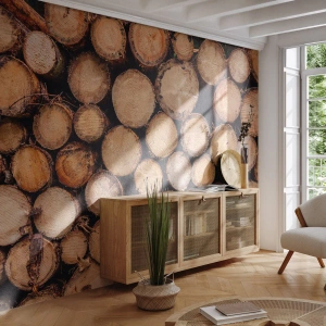 Fototapeta Standard Eco - Ułożone pnie drzew w przekroju poprzecznym - 100x70cm - Nowy początek - Nowoczesna dekoracja ścienna do salonu i sypialni ARTTOR