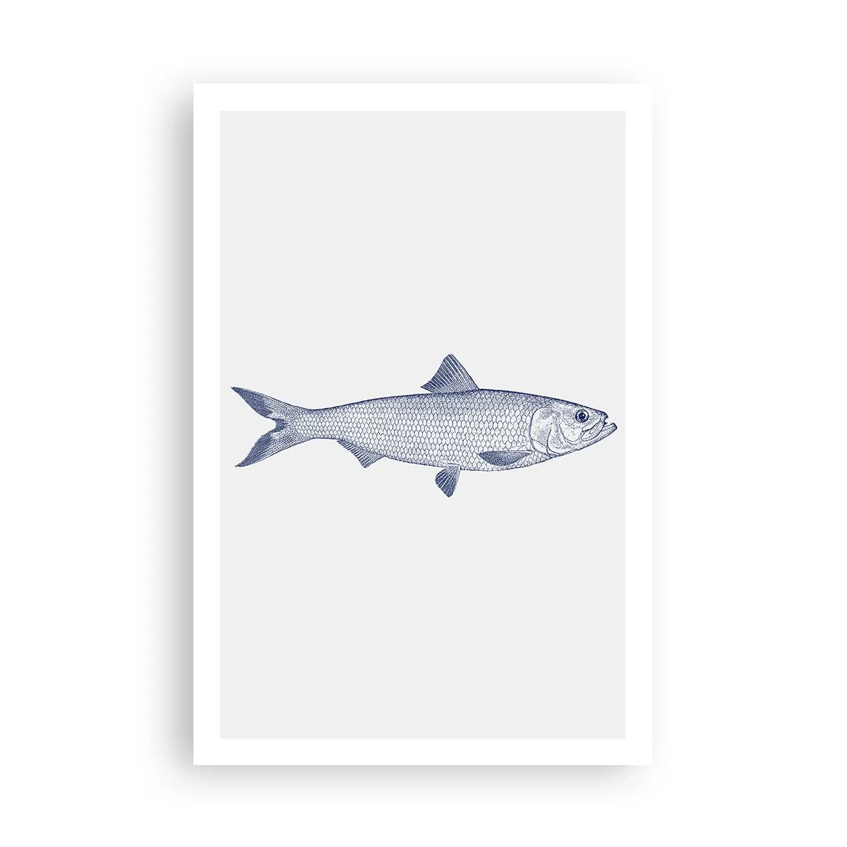 Plakat - Pozdrowienia z północnych mórz - 61x91 cm