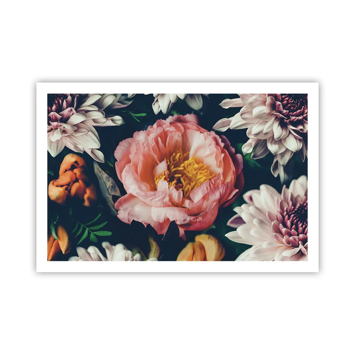 Plakat - Z barokowym przepychem - 91x61 cm