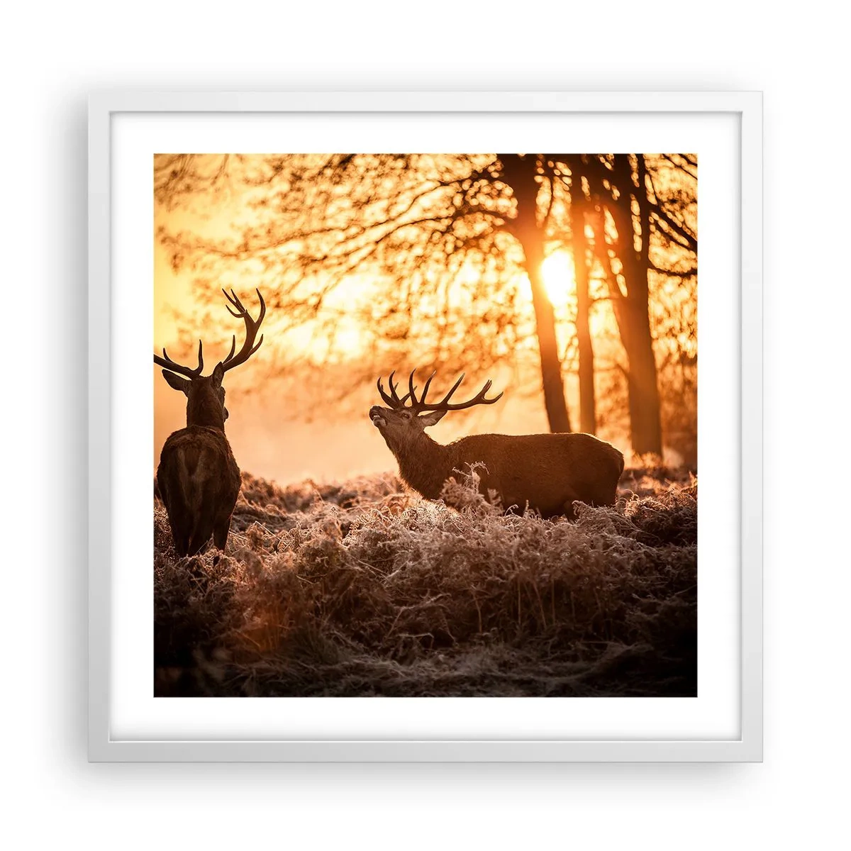 Plakat w białej ramie - Marzenie myśliwego - 50x50 cm