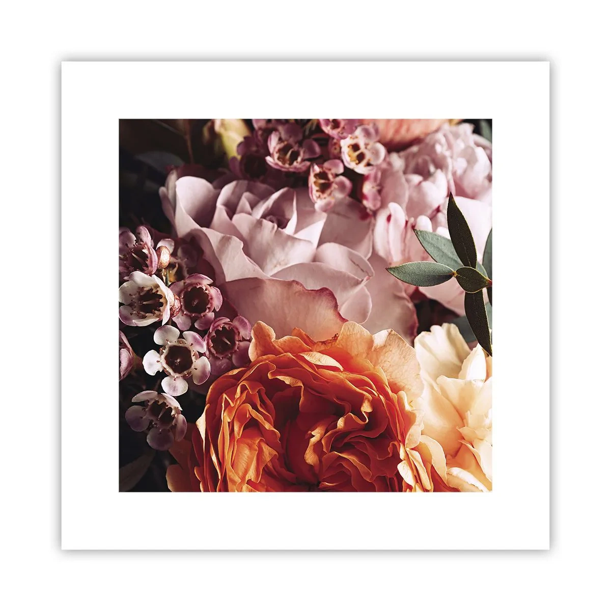 Plakat - Otulone pięknem - 30x30 cm