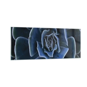 Obraz na szkle - Kwiat pustyni - 100x40 cm