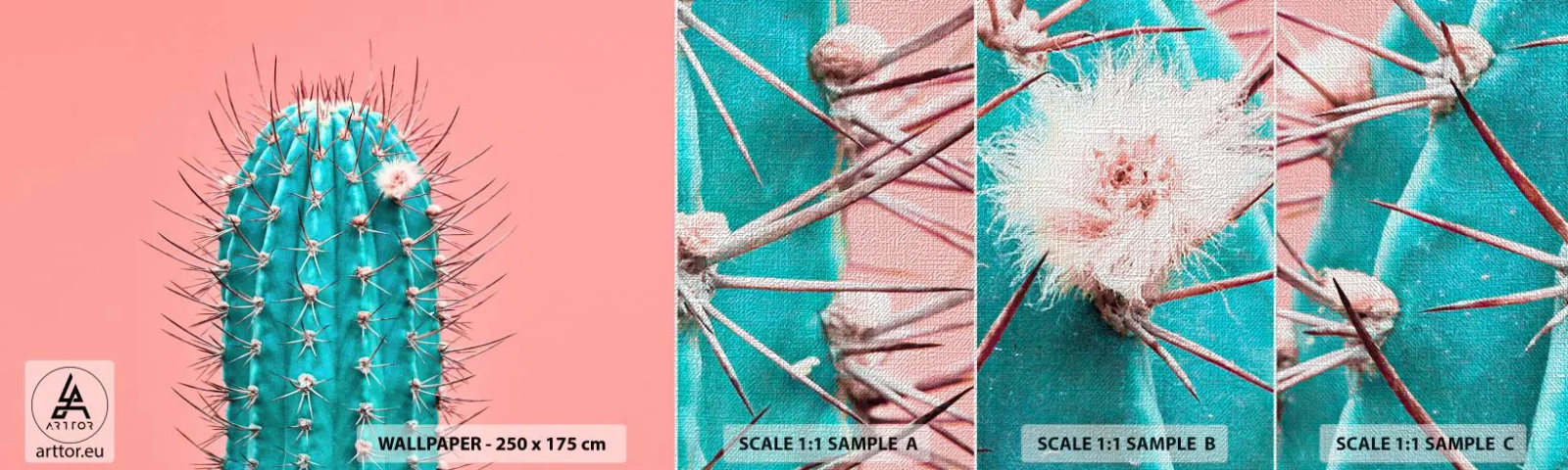 Fototapeta Próbka Premium Canvas - Tylko patrz - Kaktus, Pastelowy, Minimalizm - 100x30 cm