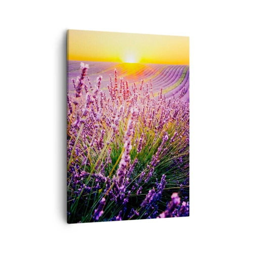Obraz na płótnie - Pole lawendy o zachodzie słońca z fioletowymi kwiatami na pierwszym planie - 50x70cm - Pachnący łan - Nowoczesna dekoracja ścienna do salonu, kuchni i sypialni ARTTOR