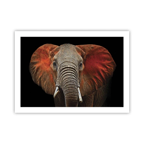 Plakat - Jestem dziki, a ty? - 70x50 cm