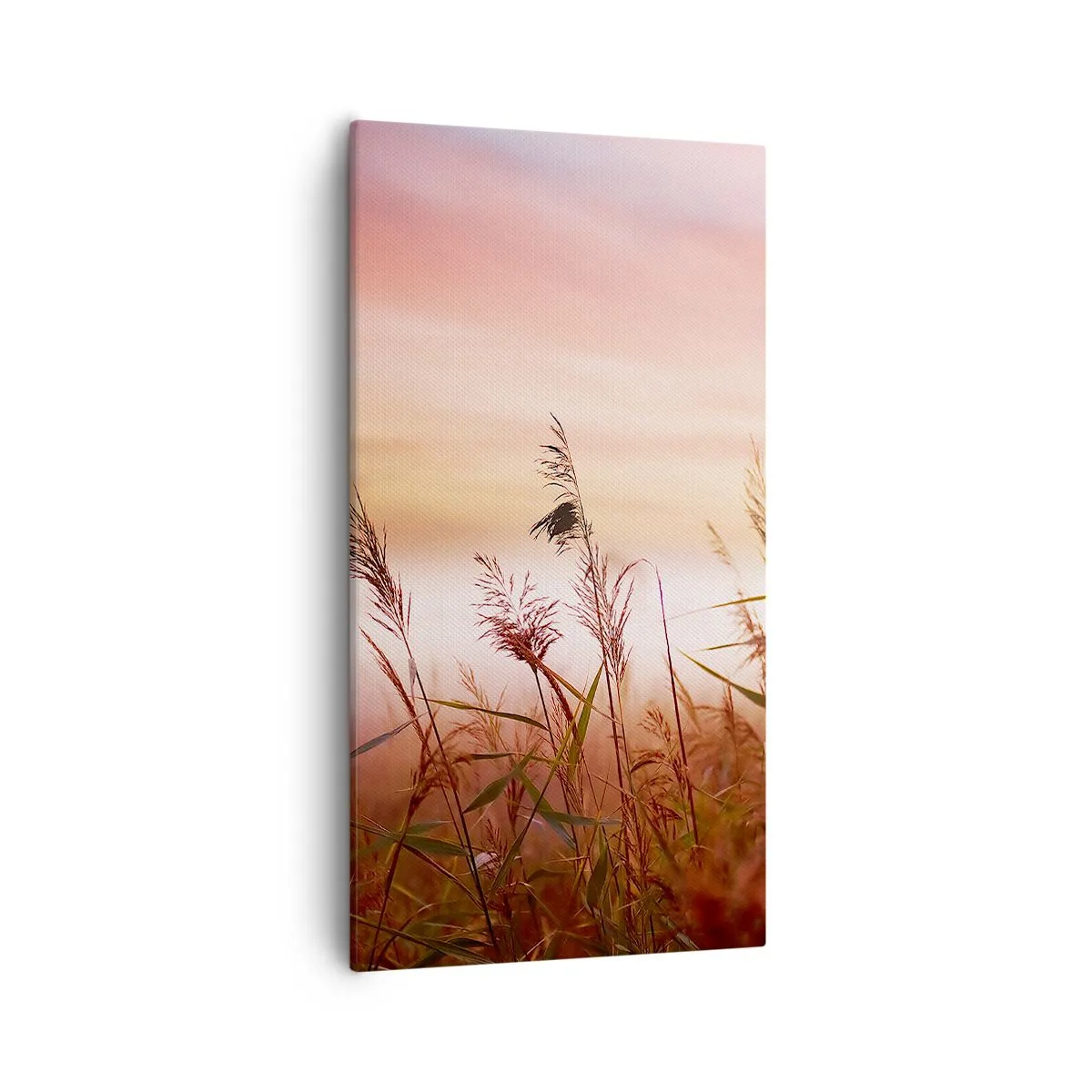 Obraz na płótnie - Latawce, dmuchawce, wiatr - 55x100 cm