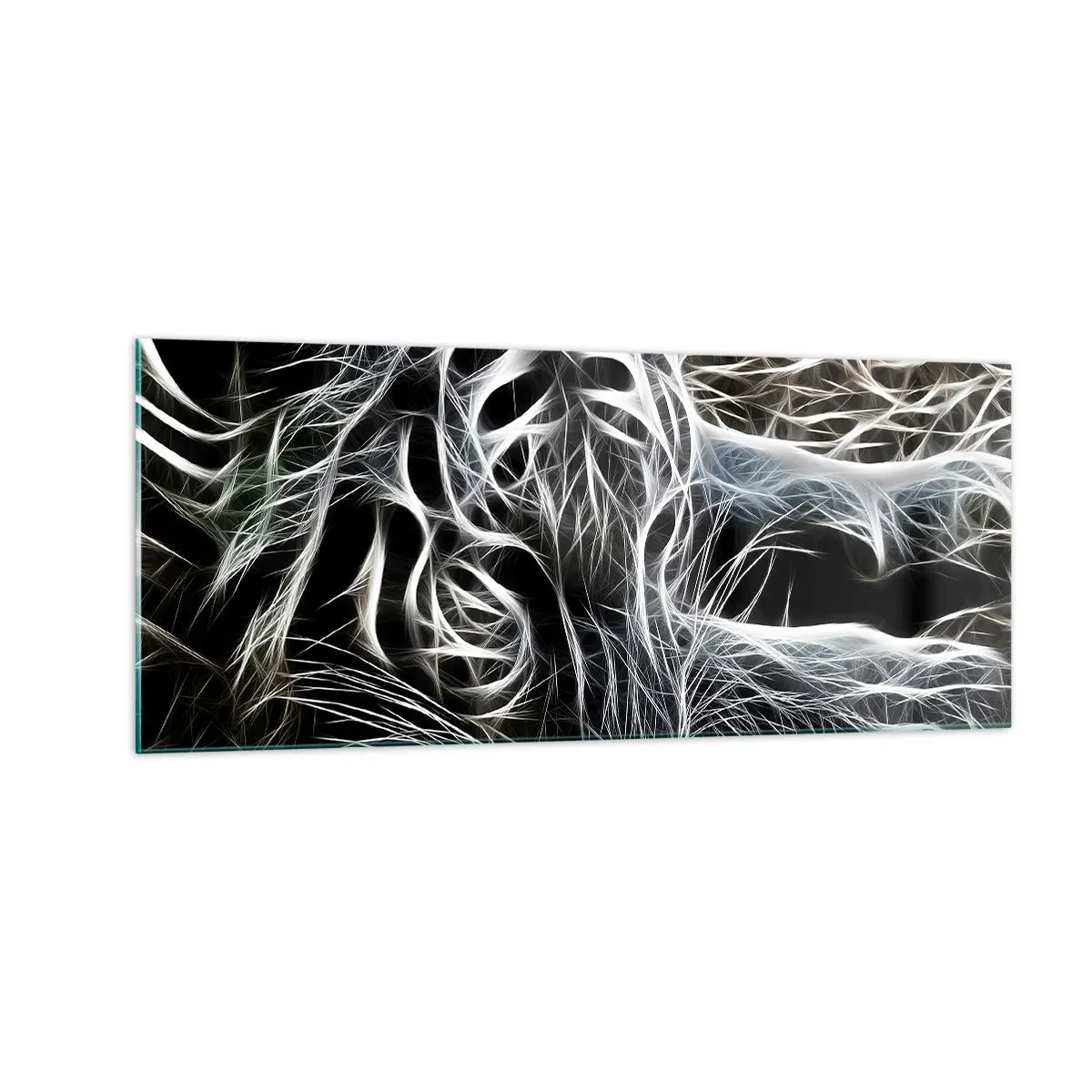 Obraz na szkle - Studium kociej lekkości - 100x40 cm
