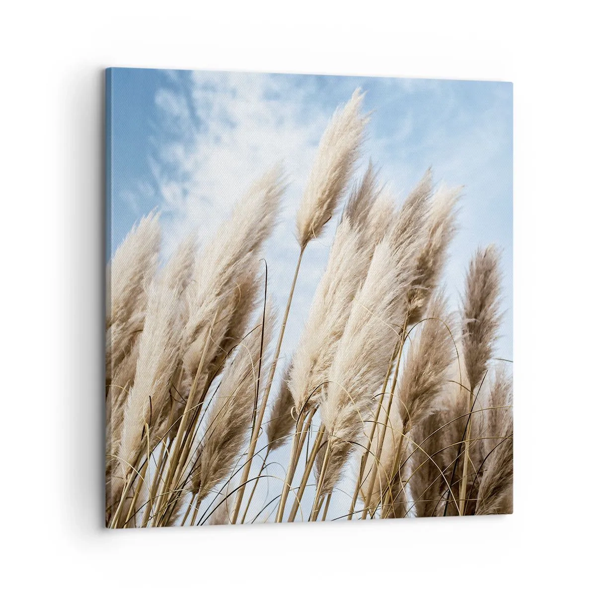 Obraz na płótnie - Słoneczna i wietrzna pieszczota - 60x60 cm