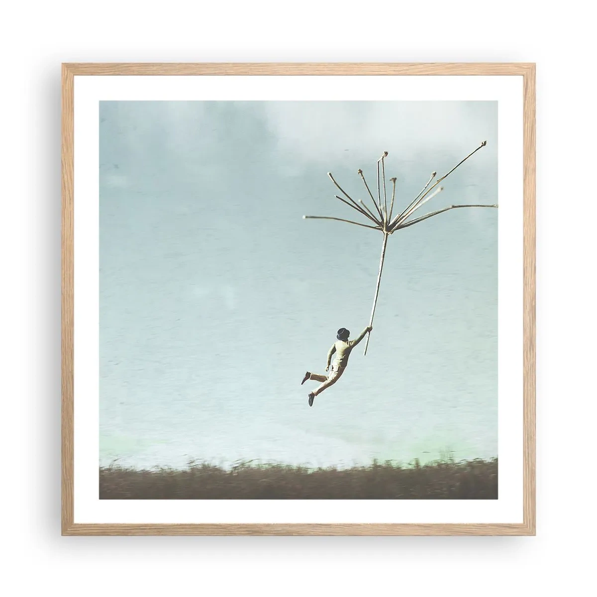 Plakat w ramie jasny dąb - Latawce, dmuchawce, wiatr - 60x60 cm