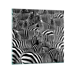 Obraz na szkle - Portret zbiorowy w paski - 70x70 cm