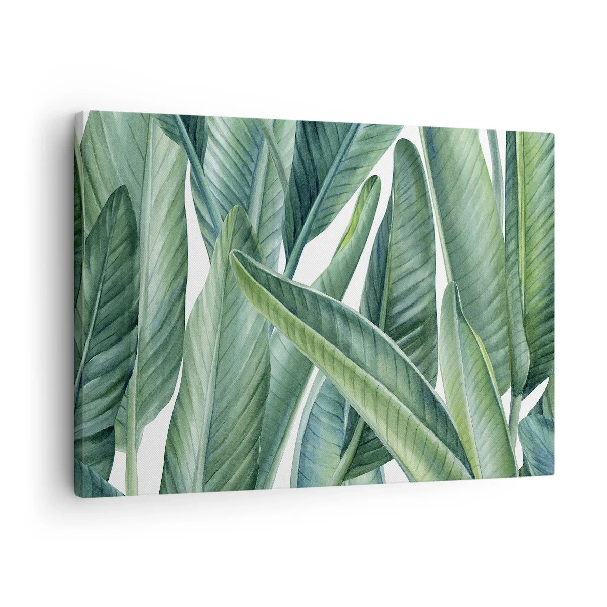 Obraz na płótnie - Zielone liście w minimalistycznym, botanicznym stylu - 70x50cm - Zieleń sama w sobie - Nowoczesna dekoracja ścienna do salonu i sypialni ARTTOR