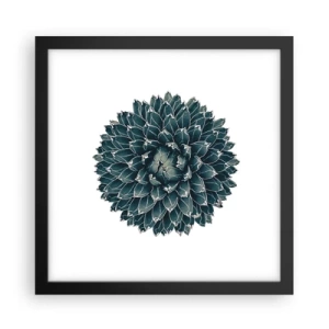 Plakat w czarnej ramie - Gwiazda pustyni - 30x30 cm