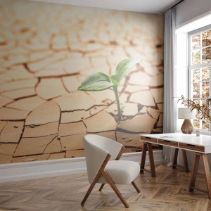 Fototapeta Premium Canvas - Nieposkromiona siła życia - Natura, Roślina, Susza - 500x350 cm