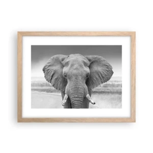 Plakat w ramie jasny dąb - Witaj w moim świecie - 40x30 cm