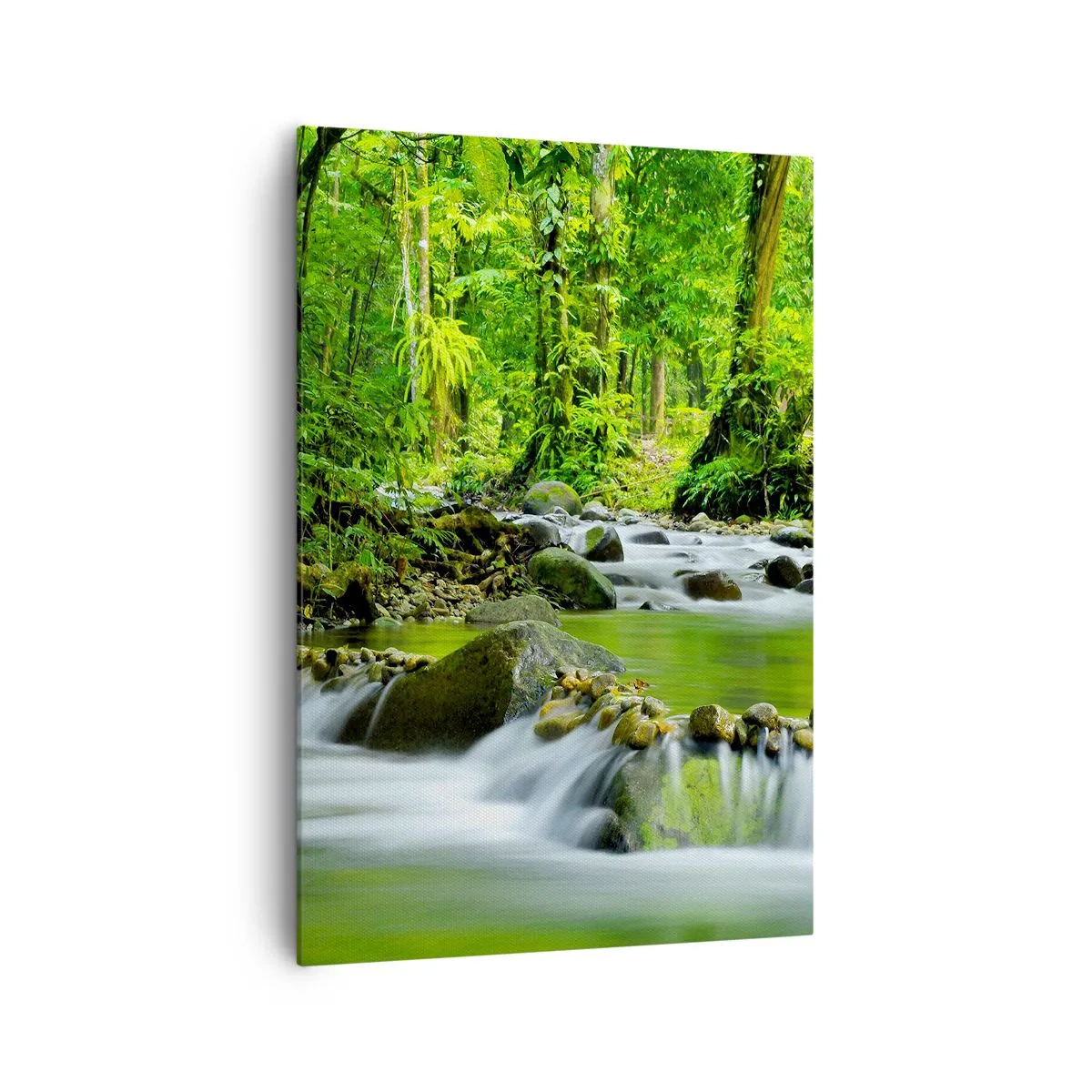 Obraz na płótnie - Strumień w lesie tropikalnym z bujną zielenią - 70x100cm - Popłynąć w morzu zieleni - Nowoczesna dekoracja ścienna do salonu i sypialni ARTTOR