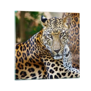 Obraz na szkle - Dziki i spokojny - 50x50 cm